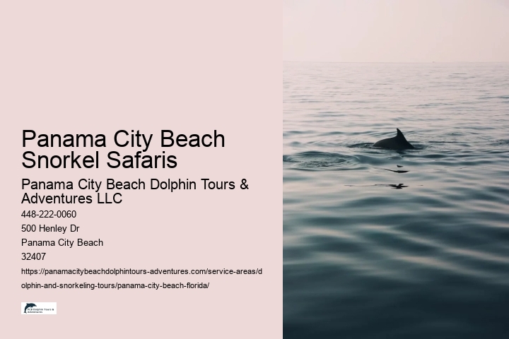 Panama City Beach Snorkel Safaris