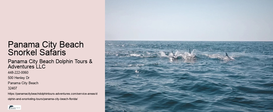 Panama City Beach Snorkel Safaris