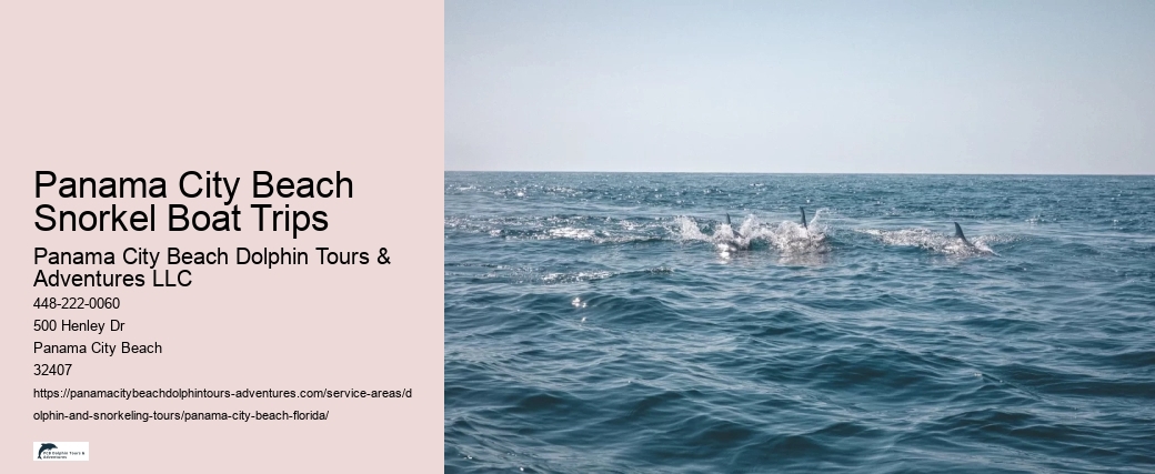 Panama City Beach Snorkel Boat Trips