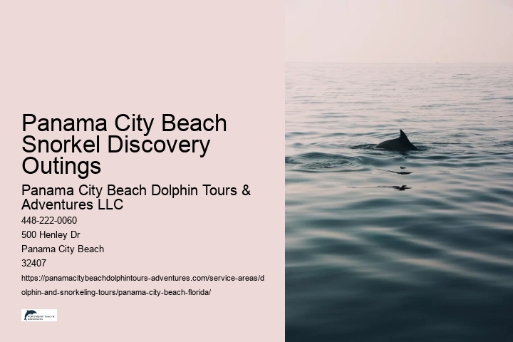 Panama City Beach Snorkel Discovery Outings