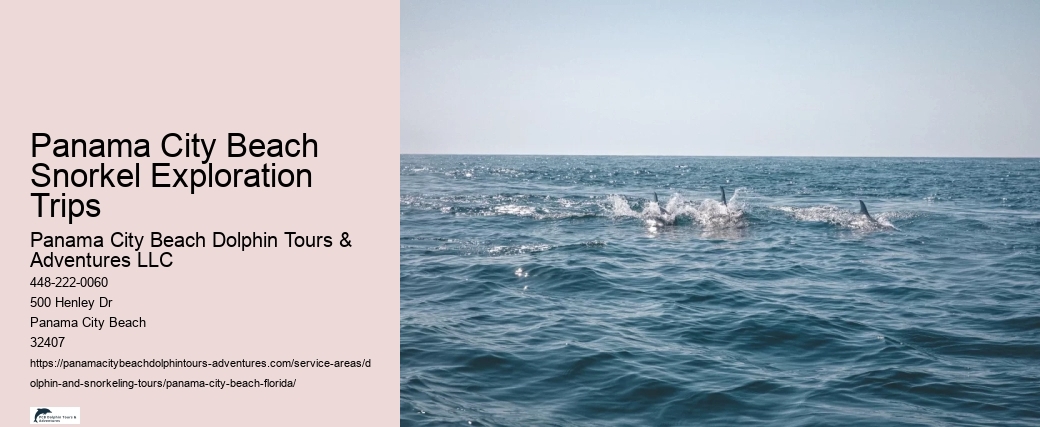 Panama City Beach Snorkel Exploration Trips