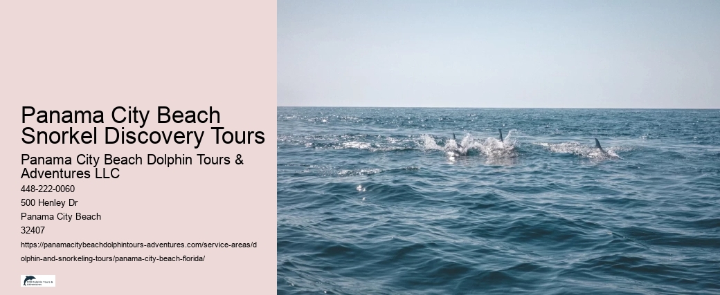 Panama City Beach Snorkel Discovery Tours