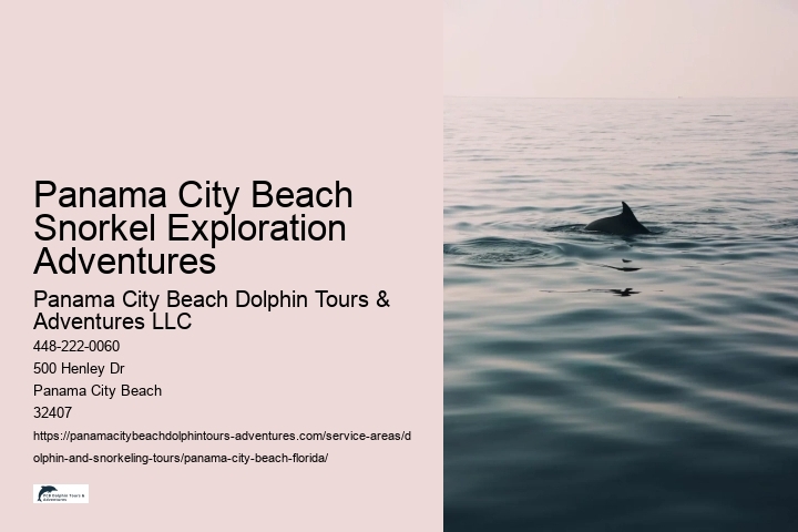 Panama City Beach Snorkel Exploration Adventures