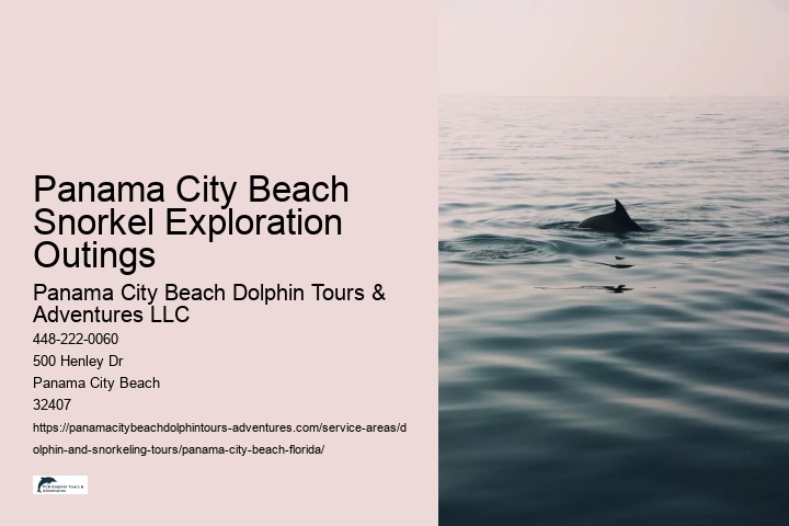 Panama City Beach Snorkel Exploration Outings