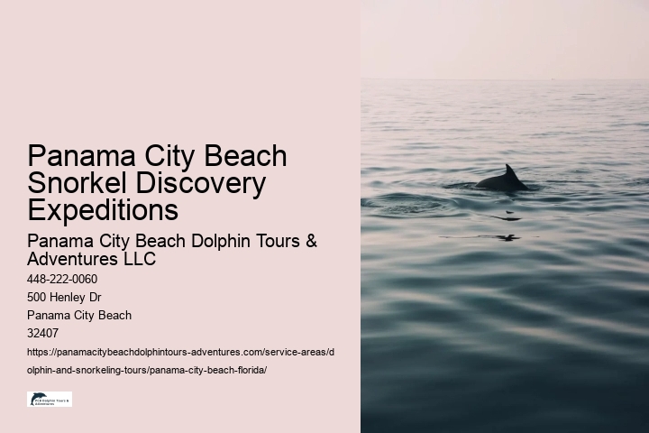 Panama City Beach Snorkel Discovery Expeditions