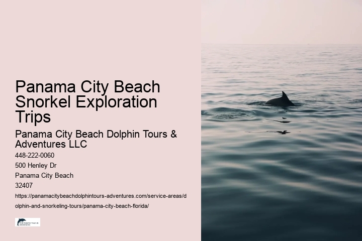 Panama City Beach Snorkel Exploration Trips