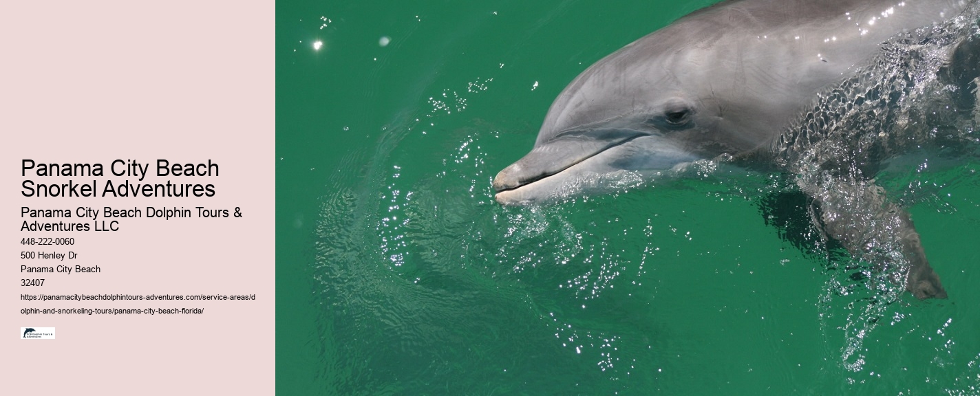 Panama City Beach Snorkeling Tours Times