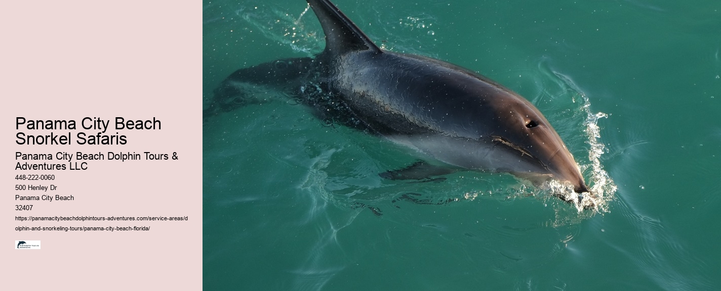 Panama City Beach Snorkeling Tours 1 Lake