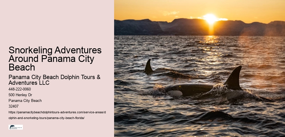 Snorkeling Adventures Around Panama City Beach