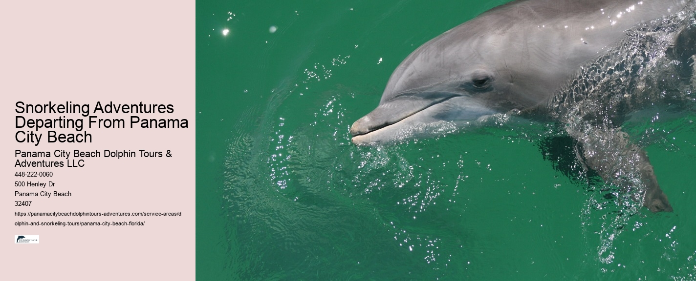 Panama City Beach Snorkeling Tours Queens Bay