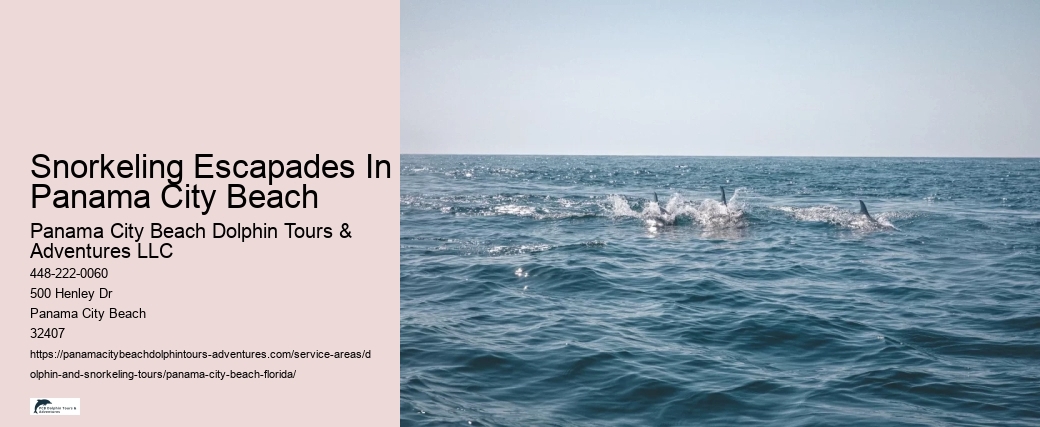 Snorkeling Escapades In Panama City Beach