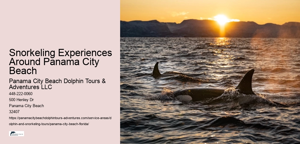 Snorkeling Experiences Around Panama City Beach