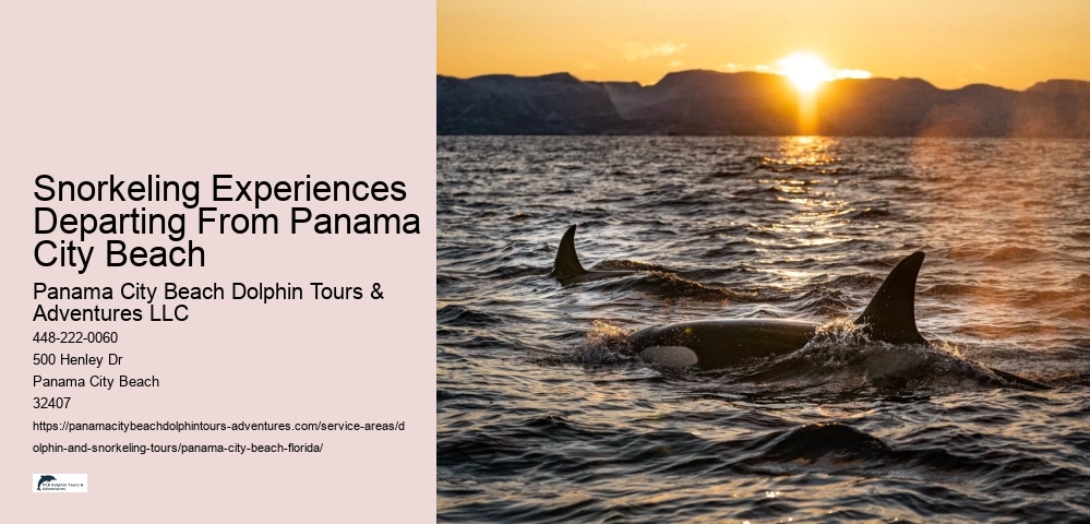 Snorkeling Experiences Departing From Panama City Beach