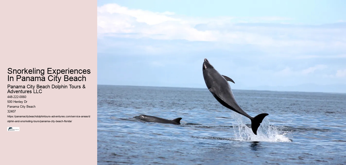 Snorkeling Experiences In Panama City Beach