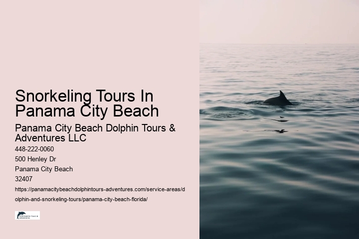 Snorkeling Tours In Panama City Beach