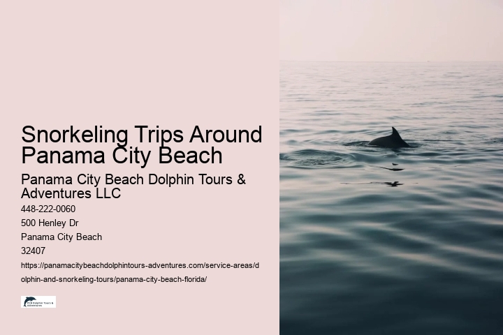 Snorkeling Trips Around Panama City Beach